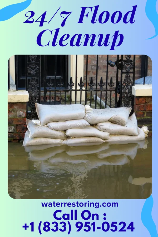 24/7 Flood Cleanup in Relampago, TX