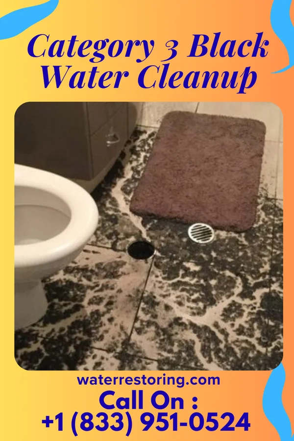Category 3 Black Water Cleanup in Relampago, TX