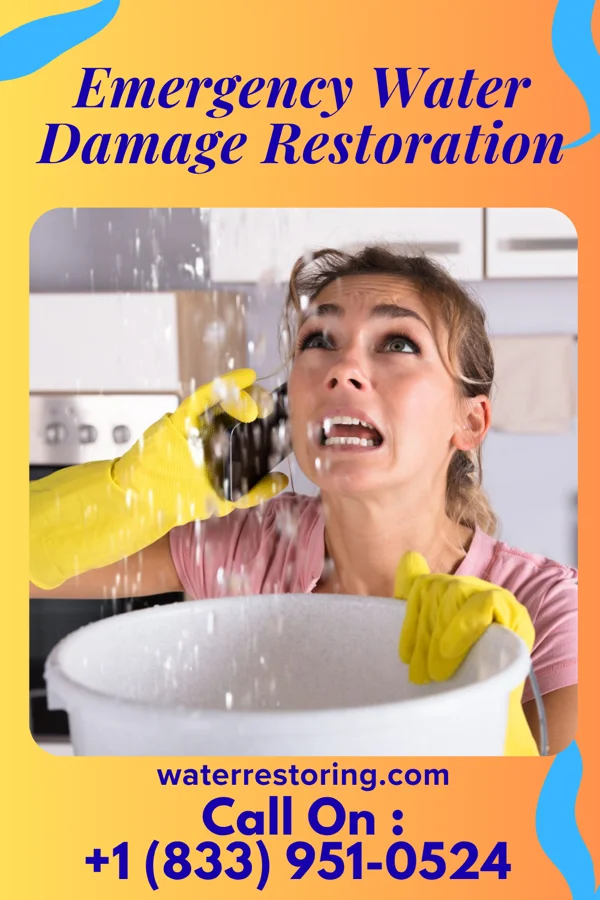 Emergency Water Damage Restoration in Relampago, TX