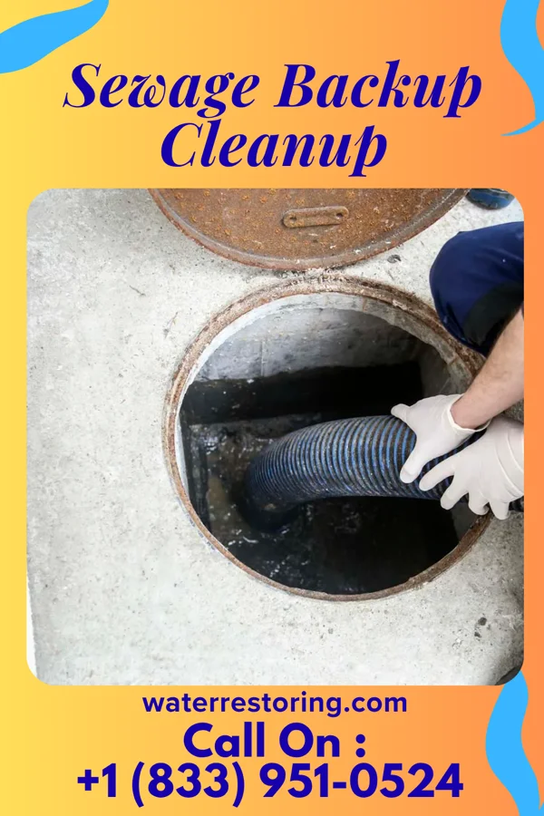 Sewage Backup Cleanup in Relampago, TX